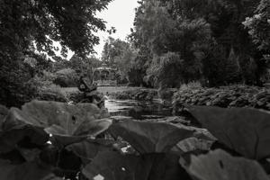 View across pond